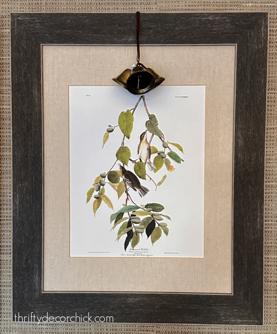 free Audubon bird print in frame